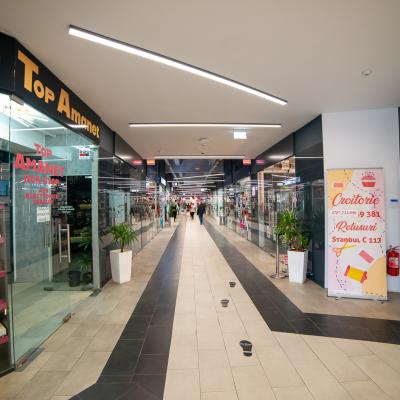 Aleea Castanilor 1005